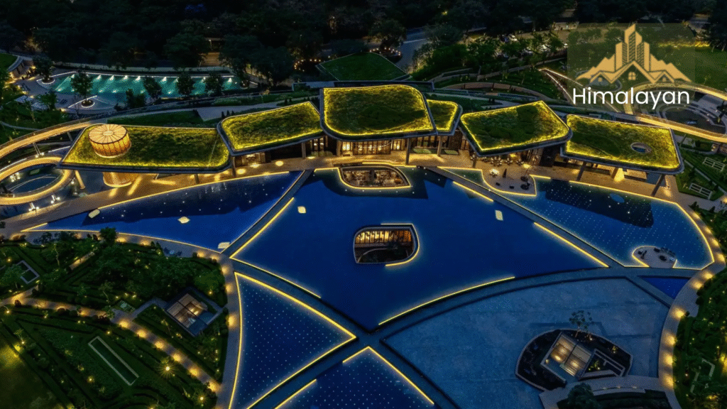 DLF Camellias
