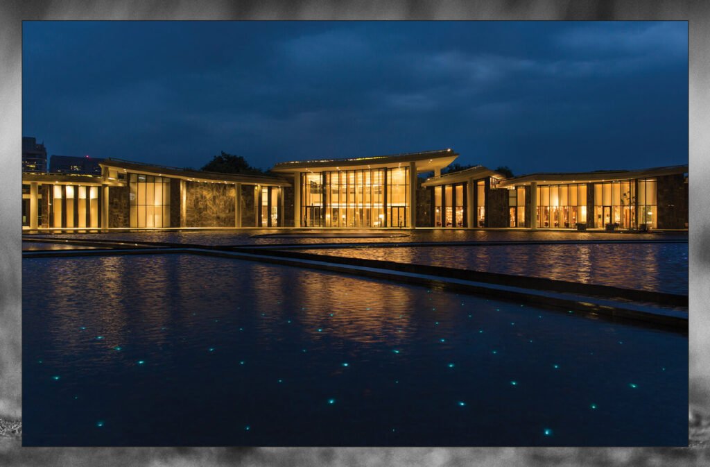 DLF Camellias